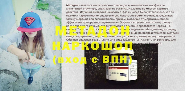 прущие грибы Медвежьегорск