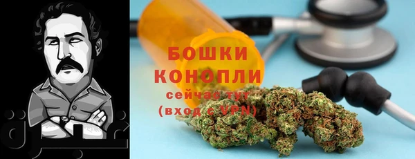винт Майский