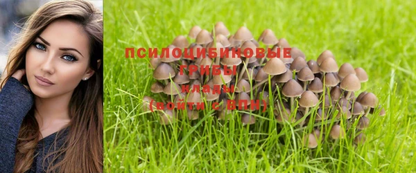 винт Майский