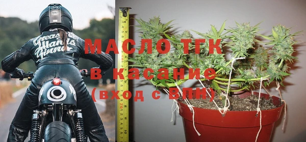 прущие грибы Медвежьегорск